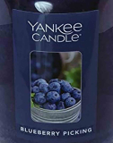 Yankee Candle Blueberry Picking USA 22 g  Crumble vosk