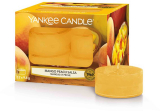Yankee Candle Mango Peach Salsa - 12 kusů čajové svíčky
