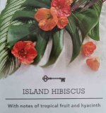 Island Hibiscus USA 22 g - Crumble vosk