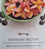 Hawaiian Nectar USA 22 g - Crumble vosk