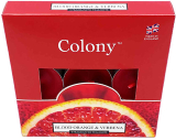 Colony Blood Orange & Verbena 9 kusů Čajové svíčky
