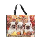 Pumpkin Spice Dog nákupní taška
