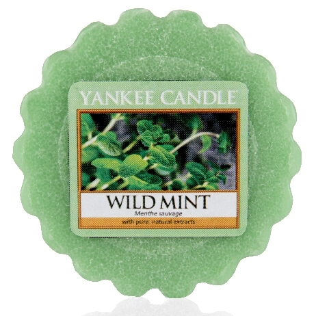 Vonný vosk Yankee Candle Wild Mint 22g