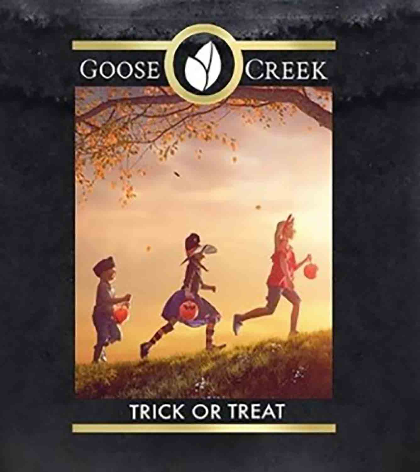 Goose Creek Trick or Treat USA 22 g - Crumble vosk