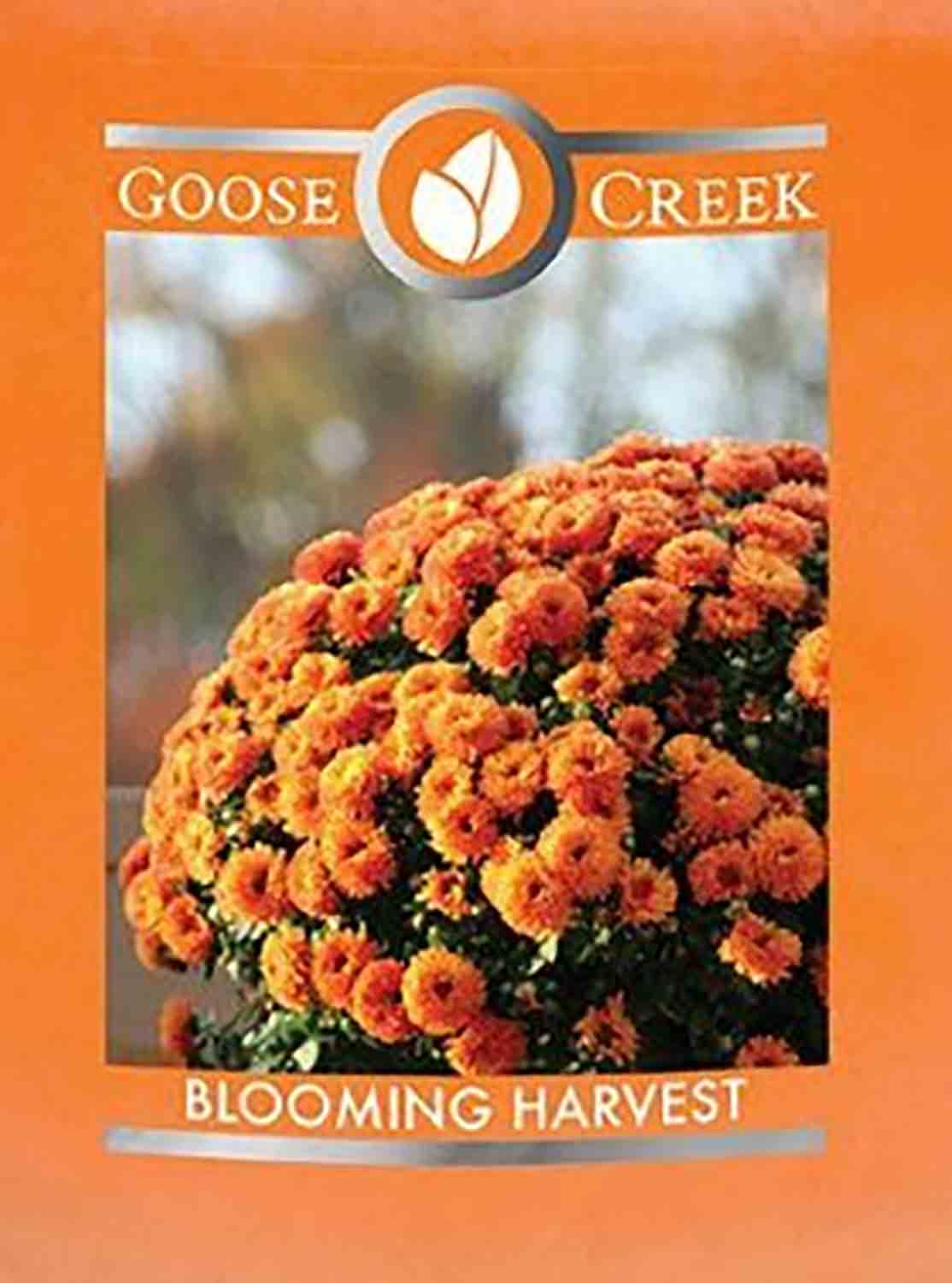 Goose Creek Blooming Harvest USA 22 g - Crumble vosk