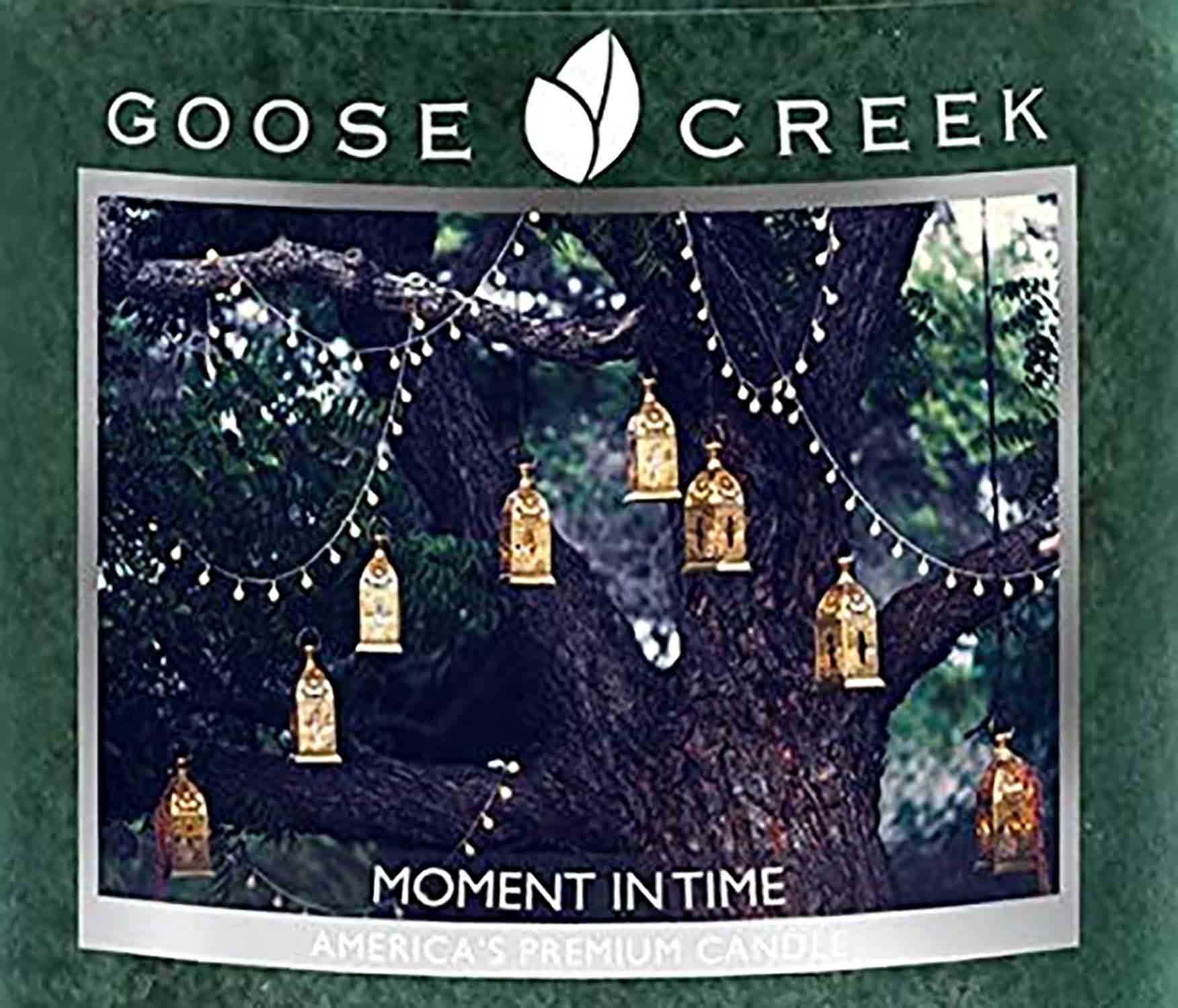 Goose Creek Moment in Time 22 g - Crumble vosk