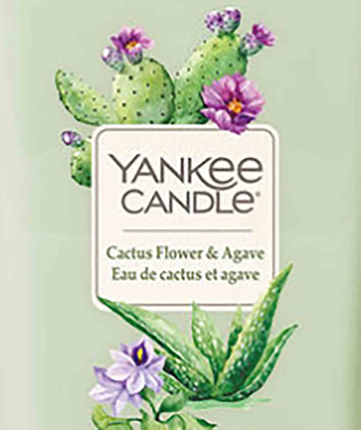 Yankee Candle Cactus Flower and Agave Elevation 22g - Crumble vosk