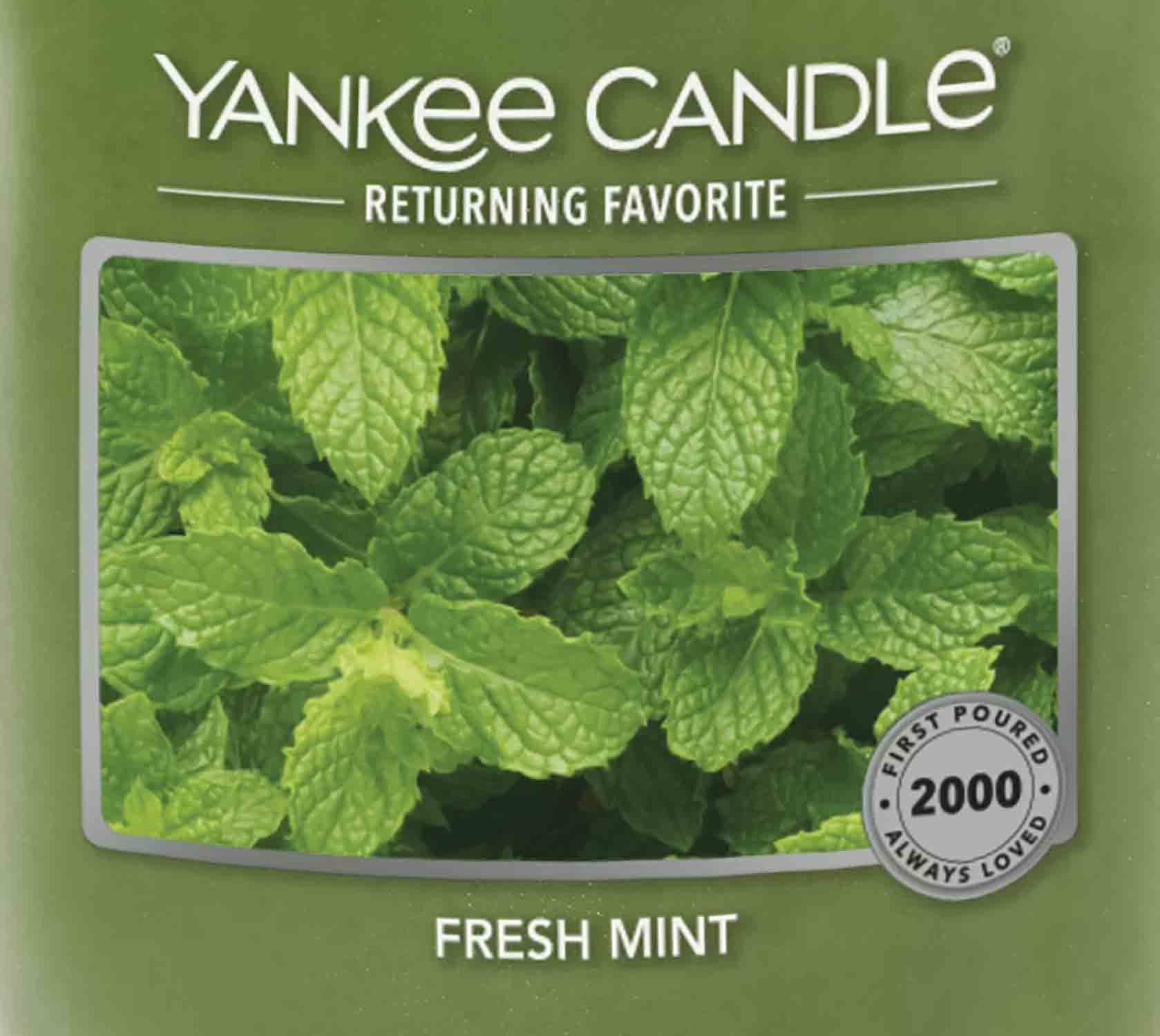 Fresh Mint Yankee Candle 22 g - Crumble vosk