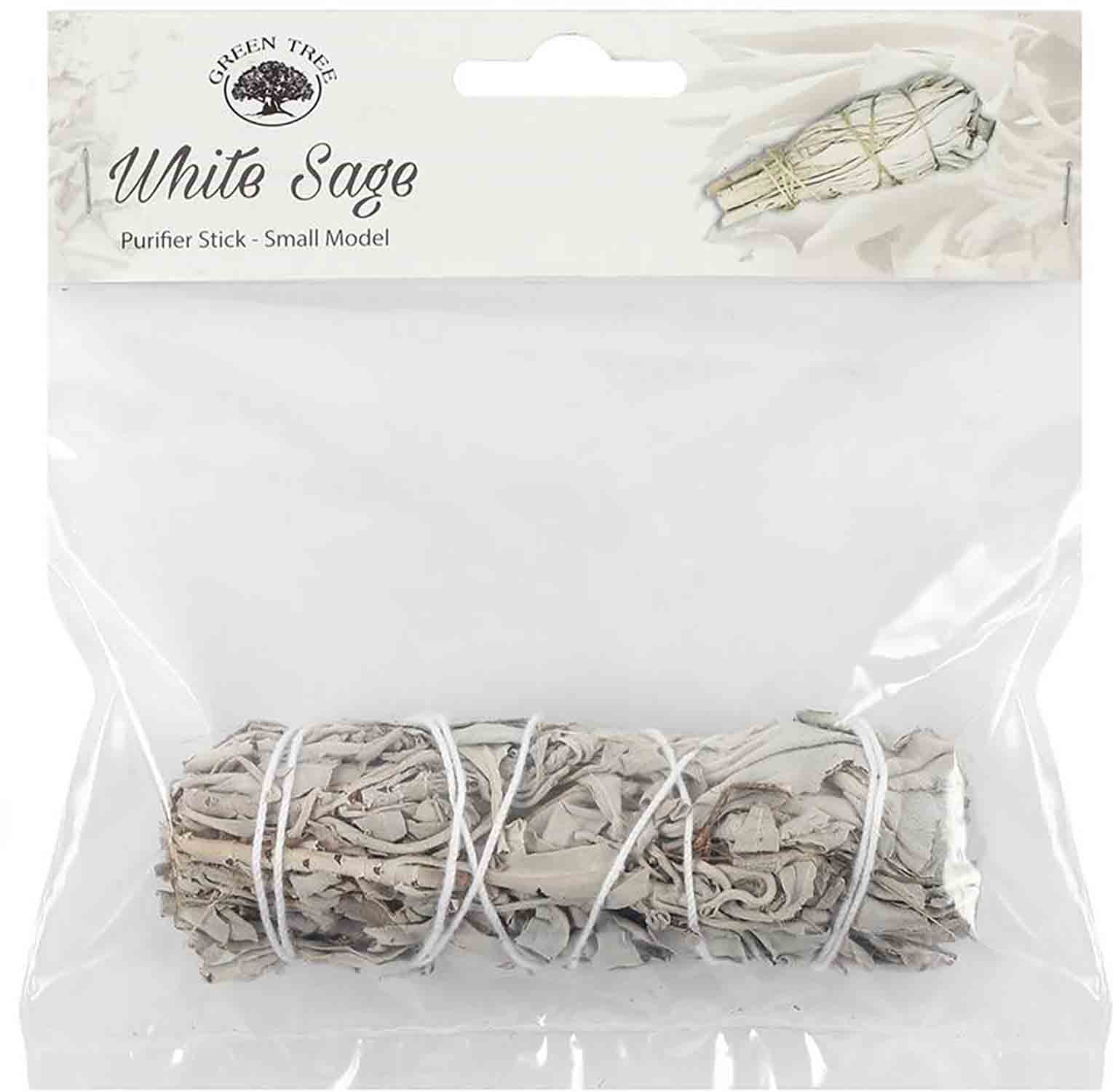 White Sage 11 cm