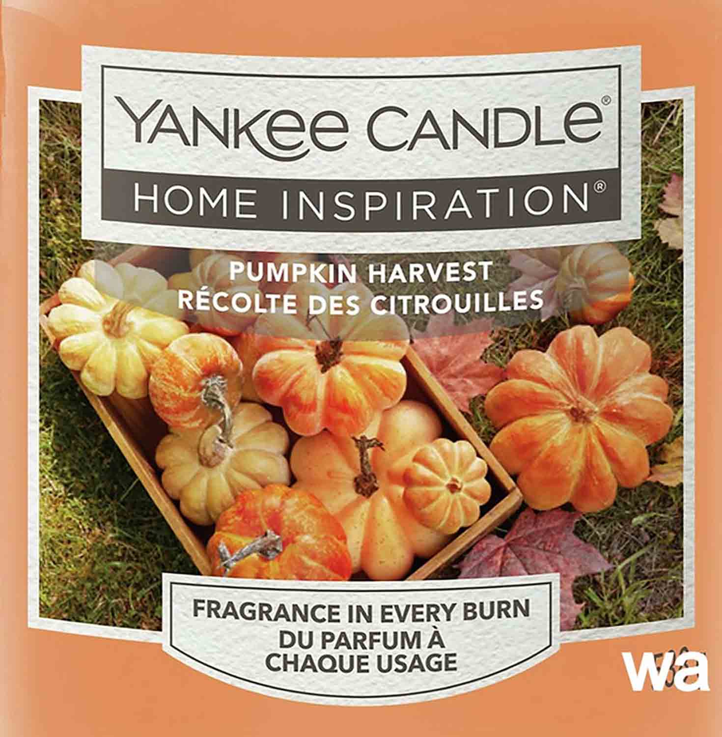 Yankee Candle Pumpkin Harvest 22g Crumble vosk 