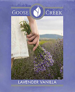 Goose Creek Lavender Vanilla USA 22 g Crumble vosk