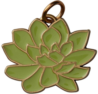 Yankee Candle Charming Scent-přívěsek Succulent