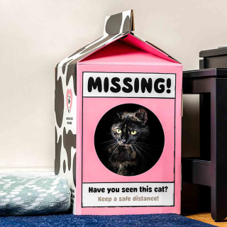 Domeček pro kočky Missing